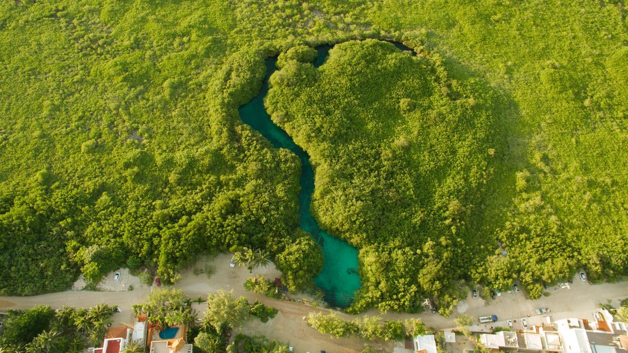 Mereva تولوم المظهر الخارجي الصورة